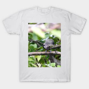 NEW  THE PANASONIC FZ 1000 PAR OKAIO CREATION T-Shirt